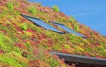 Redcross living roof systems